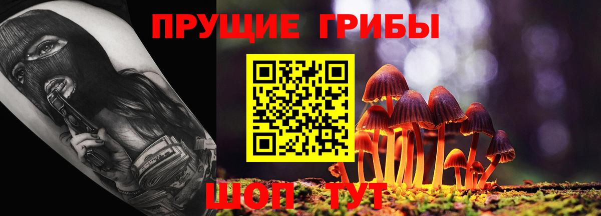 Галлюциногенные грибы Cubensis Кинель